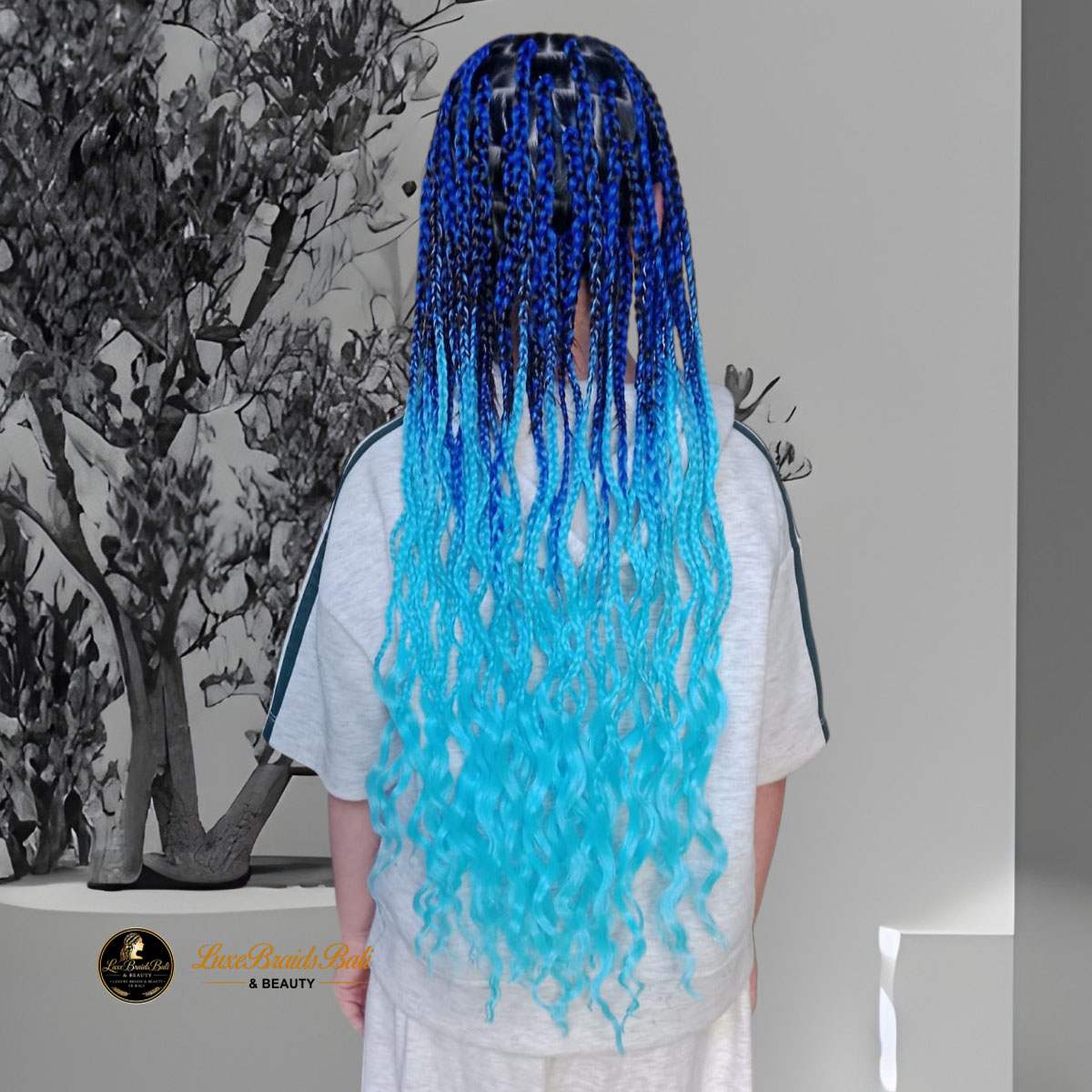 Box Braids-Extensions